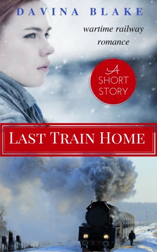 the-last-train-home